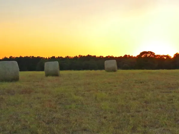 Tbd Browns Pond Rd, Wagener, SC 29164