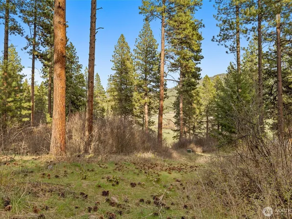 250 Fir Tree Drive, Cle Elum, WA 98922