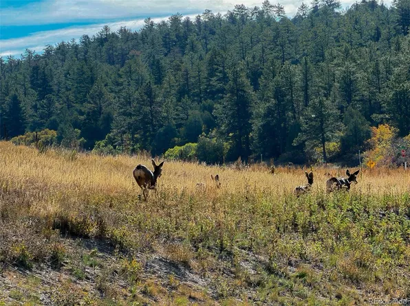 6235 Perry Park Boulevard, Larkspur, CO 80118
