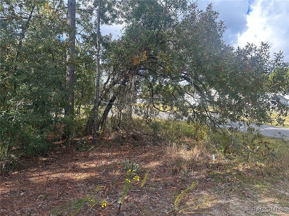 1st image of 7779 N Cricket Dr