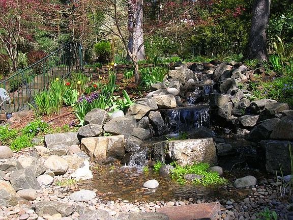 Garden pond