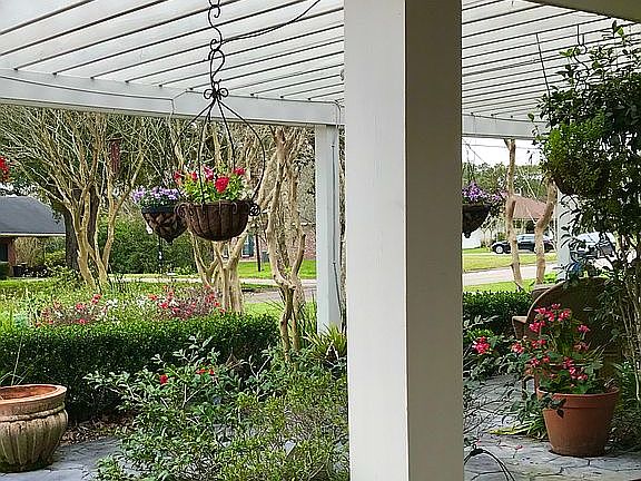 Front yard from pergola 