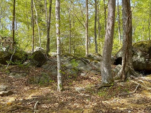 5th image of 200 Mountain Rock Trl