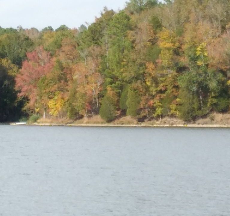 View from boat landing. 