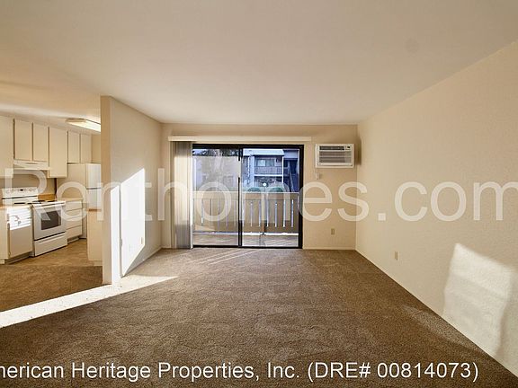 2nd image of 10313-84 Caminito Aralia