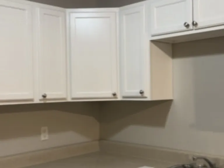 freshly painted cabinets