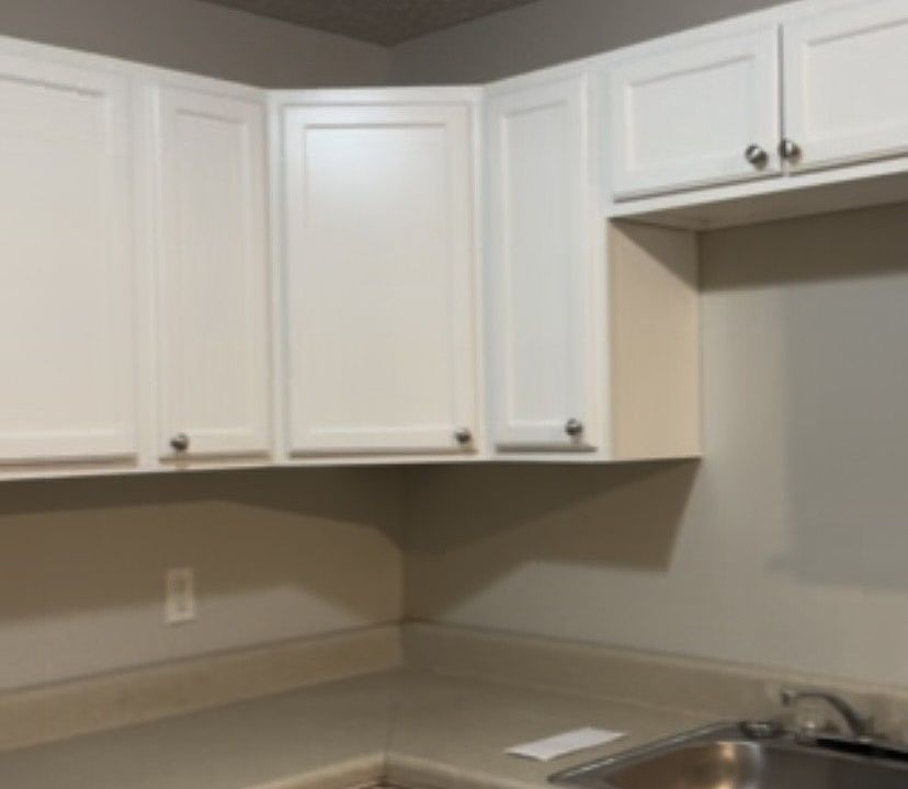 freshly painted cabinets