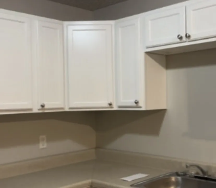freshly painted cabinets