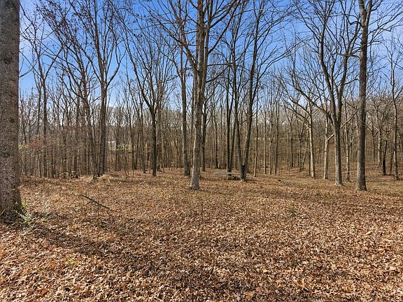 96th image of this home