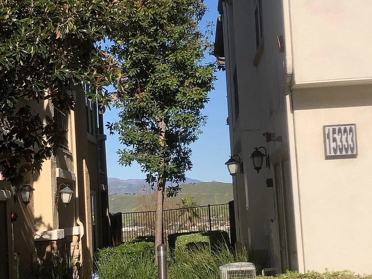 15329 Oak Tree Dr #110 — Photo 18