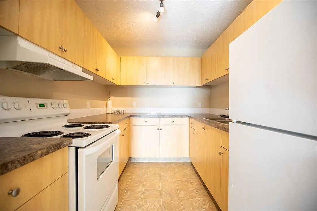 1 bed, 1.0 bath, 635 sqft, $1,000 — Photo 2