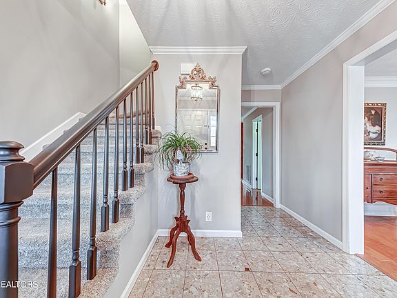 4th image of 9253 Countryway Dr