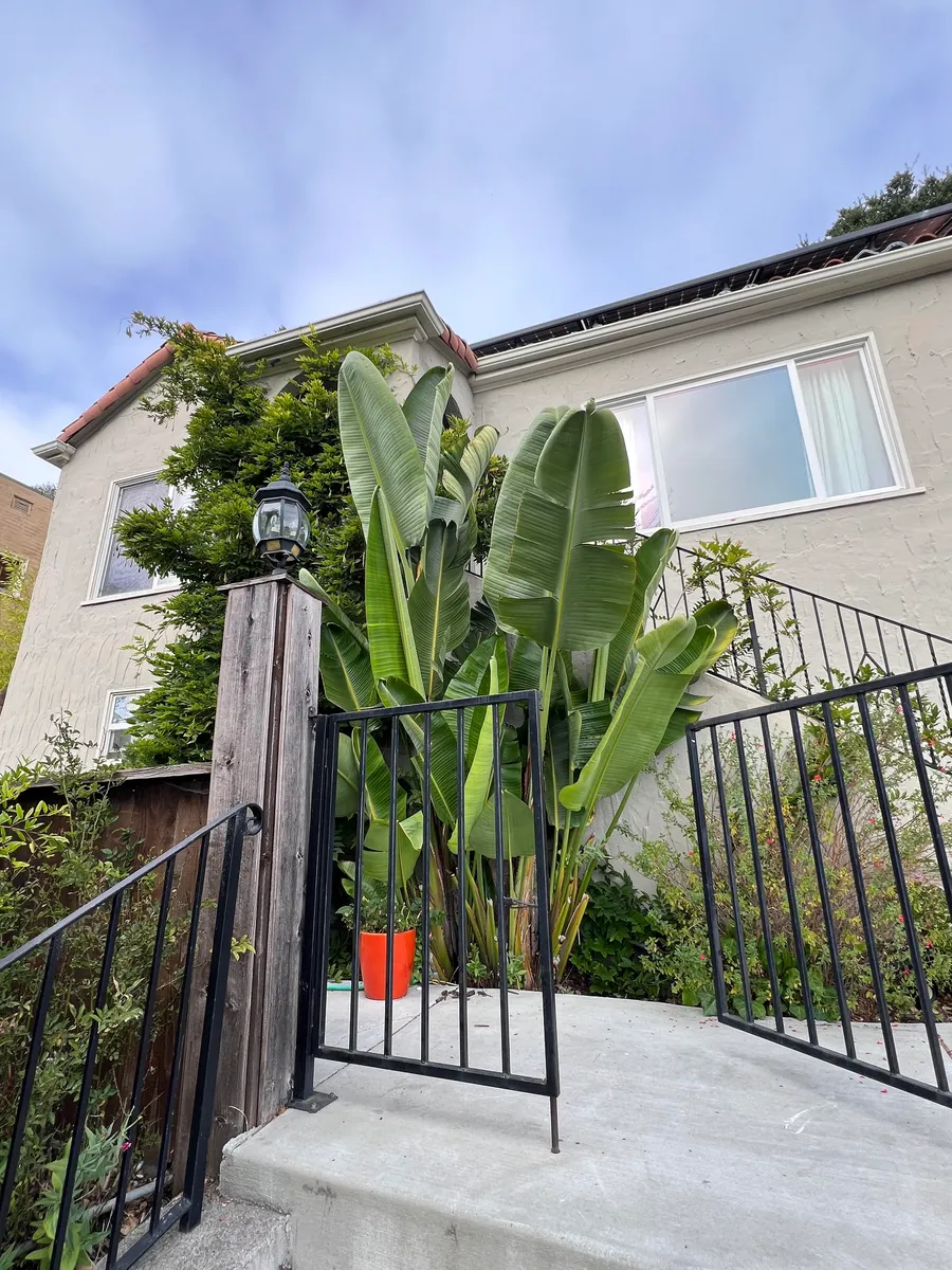 Front of the house - 1165 Sutter St