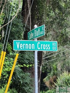 0 Vernon Cross Rd, Savannah, GA, 31419