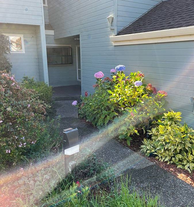 1st image of 2608 Phoebe Ln