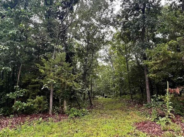 Moor Ln, Warsaw, MO 65355