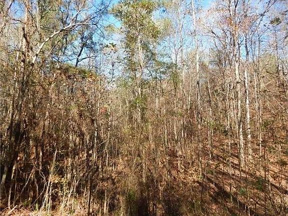 5th image of 5237 Highway 98 E