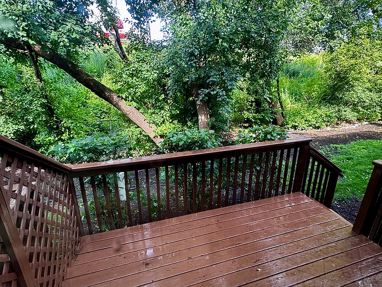 Backyard Patio