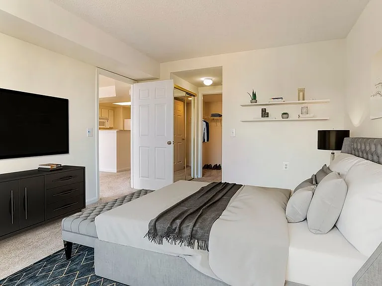 Classic Package I bedroom with carpet and spacious walk-in closet