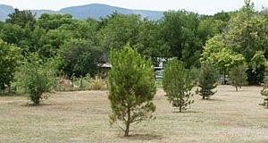 House sits on 1.5 acres, zoned for horses