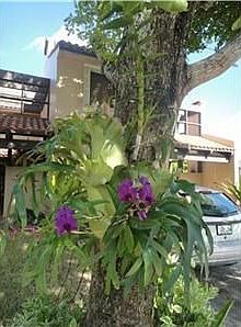5th image of 9821 Costa Del Sol Blvd