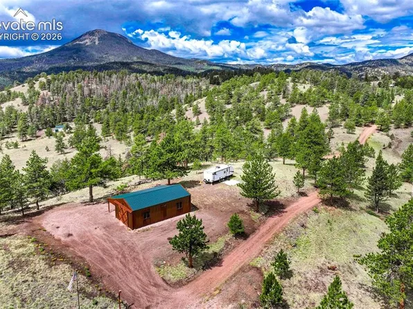 75 Deer Ln, Guffey, CO 80820