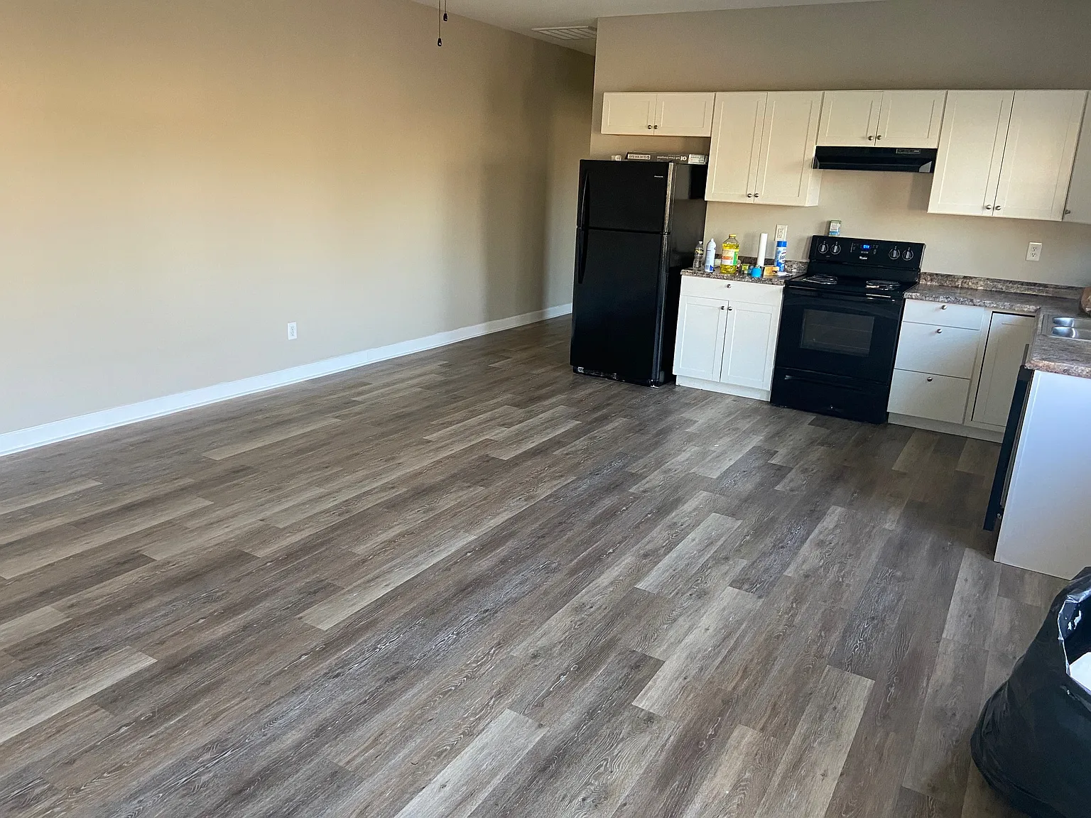 2 bed, 1040 sqft, $1,350 — Photo 3