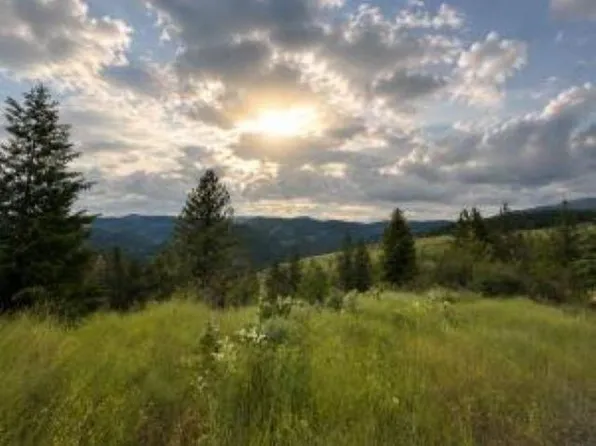 T Buffy Ln, Inchelium, WA 99138