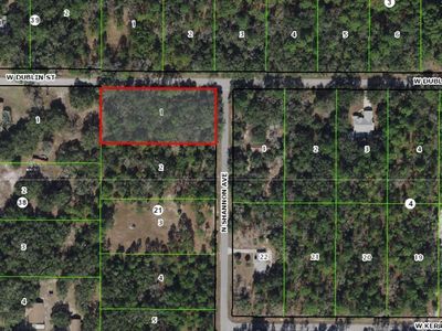 8652 N Shannon Ave, Crystal River, FL, 34428