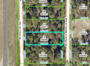 0 Necklace Warbler Ave #30, Brooksville, FL 34614