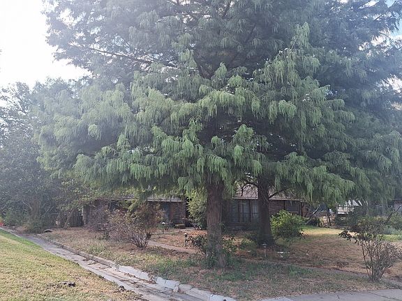 5th image of 309 Dogwood Ct