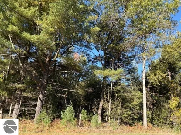 0 S Fairview Rd, West Branch, MI 48661