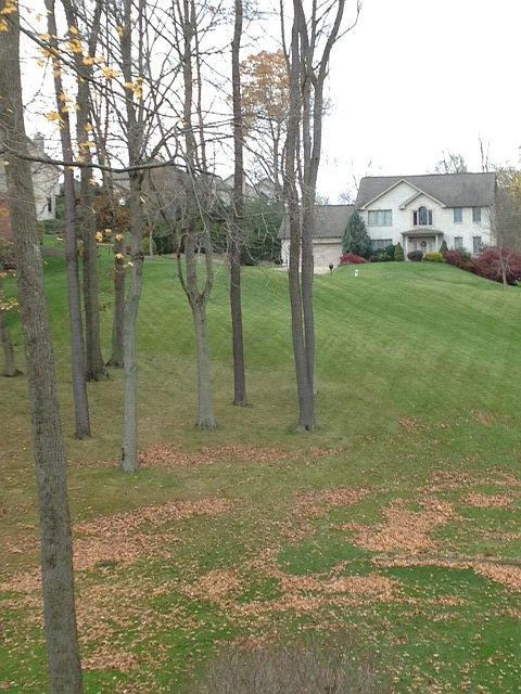 2nd image of 146 Greenville Cir