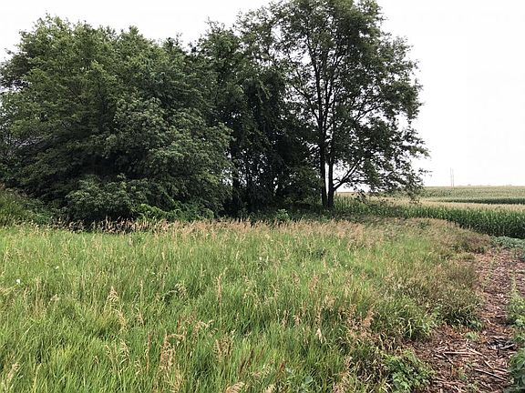 Looking south from the center of the property