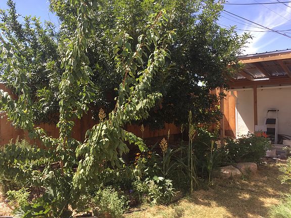 Covered patio in back
