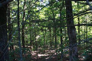 2nd image of 5.75 Ac Highway Of Hwy #43-206-S