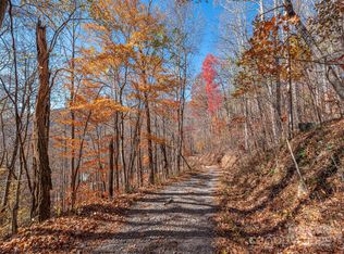 112 & 113 Grouse Rd, Clyde, NC 28721