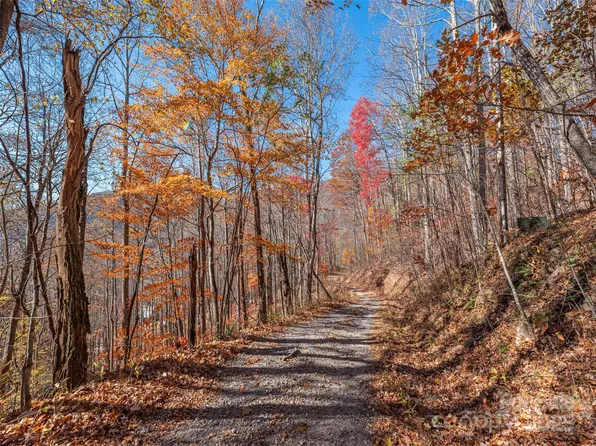 112 & 113 Grouse Rd, Clyde, NC 28721