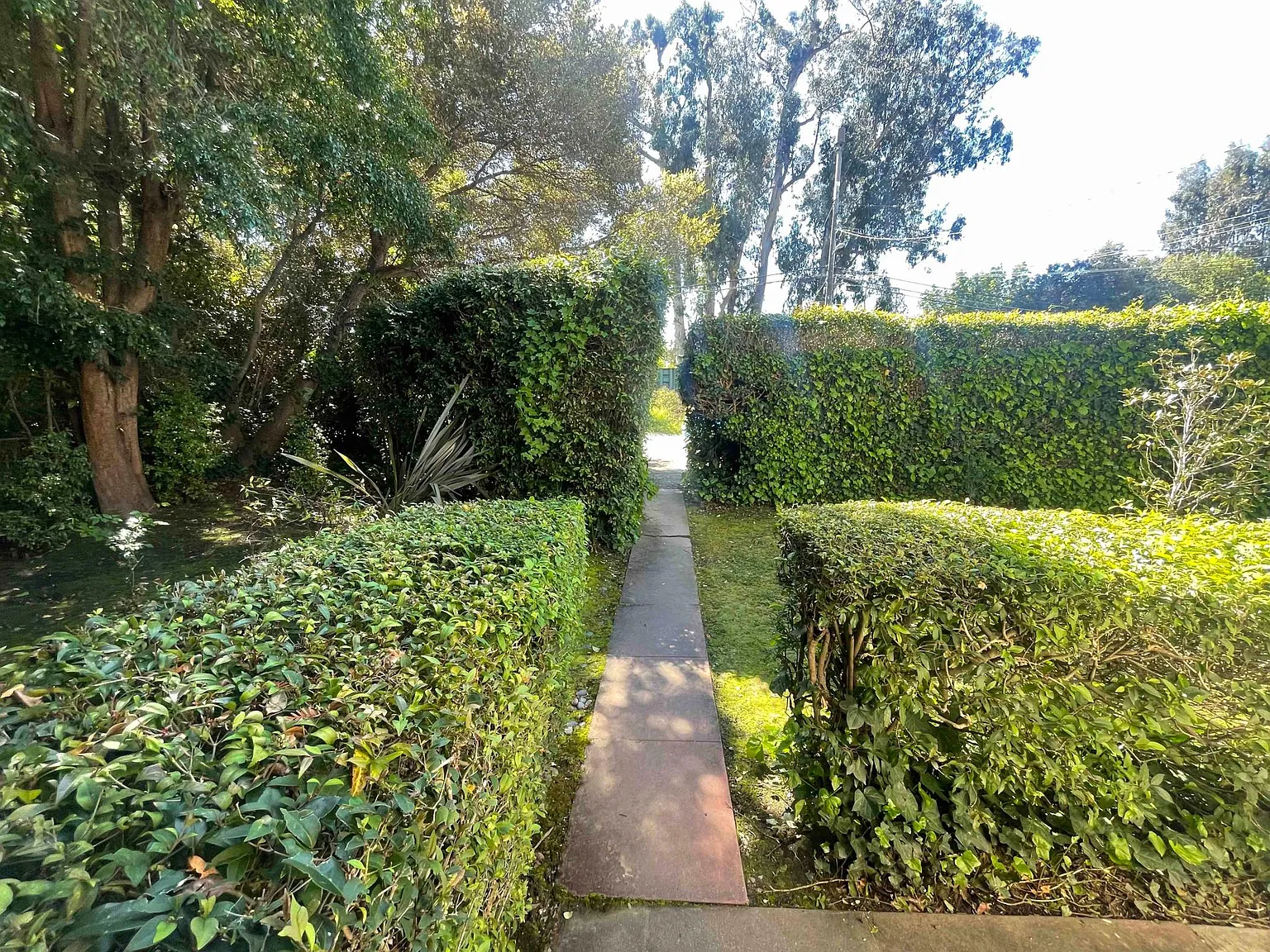 1 bed, 700 sqft, $2,200 — Photo 4