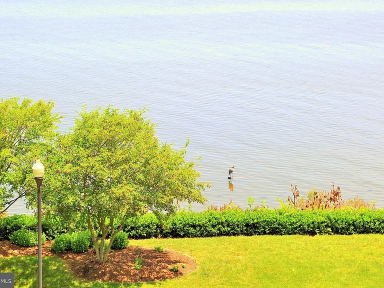 485 Harbor Side St #904 — Photo 45