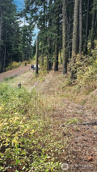 5th image of 0 Lot 78 Skull Springs Road
