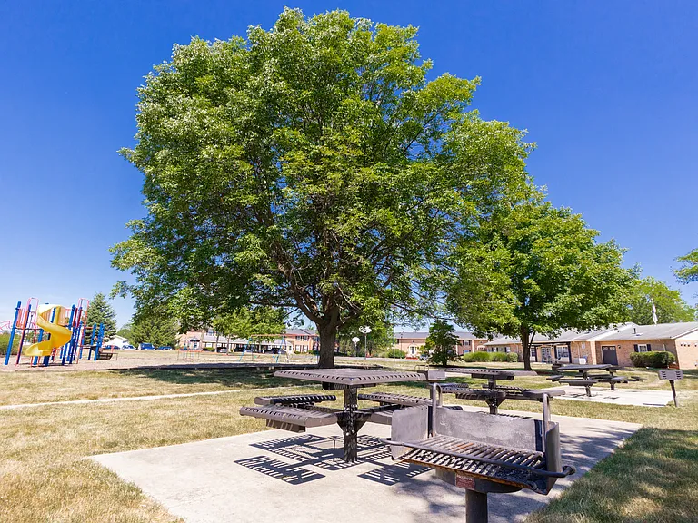 Picnic Table and Grilling Station Exterior Amenities at Ashmore Trace Apartment
