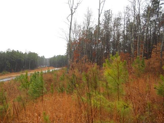 3rd image of Dogwood Ln