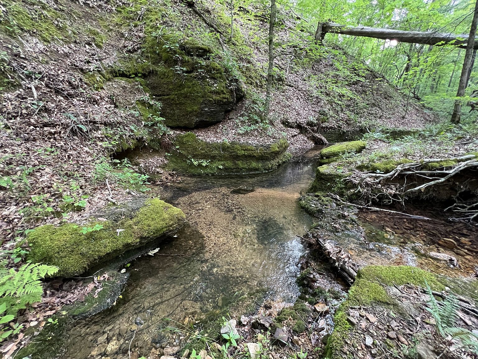 0 Branch Rd, Centerville, TN 37033 MLS 2530907 Zillow