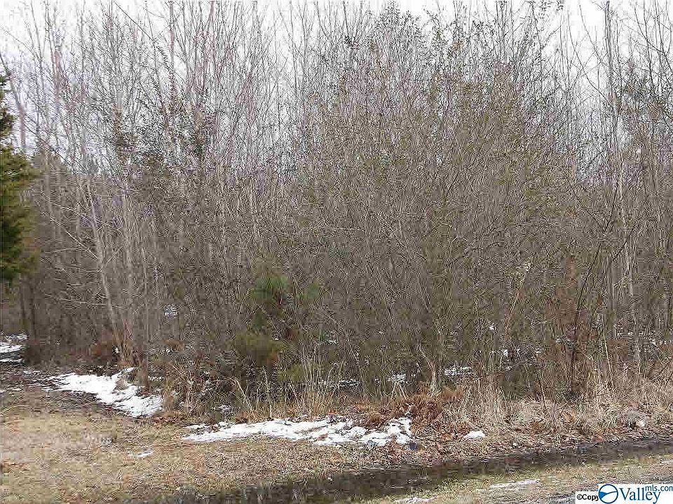 2nd image of Turnpike Rd