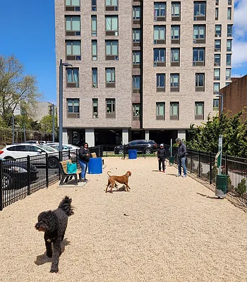 Rented by Lisa Management | media 14