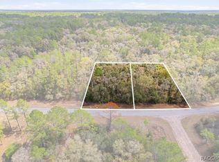 8969 N Alameda Dr, Citrus Springs, FL 34434