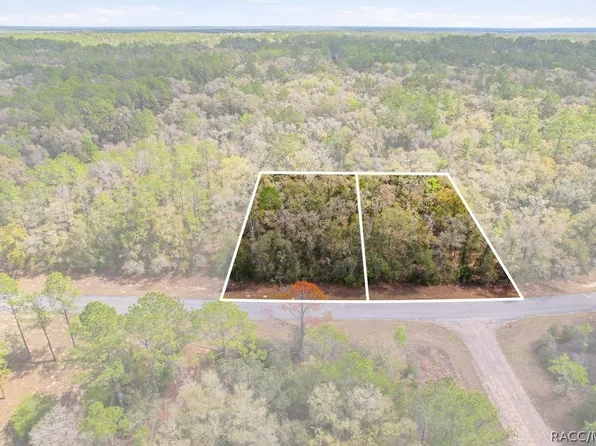 8969 N Alameda Dr, Citrus Springs, FL 34434