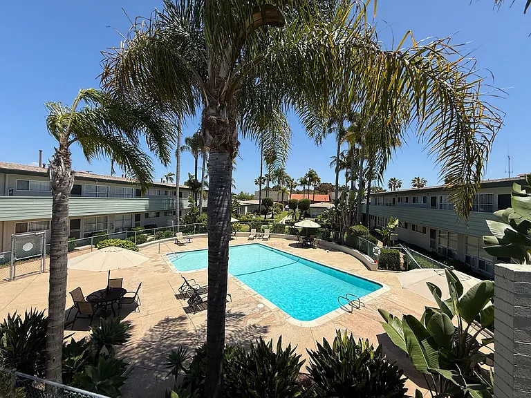 The Palms — Photo 9