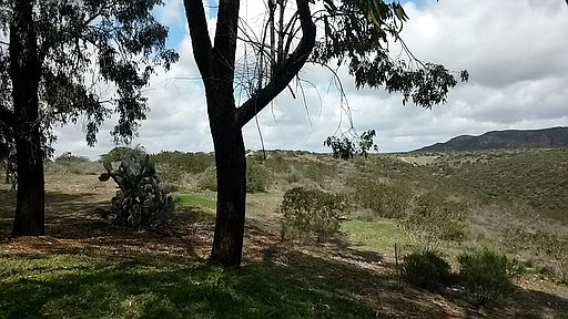 2nd image of 4878 Seda Dr